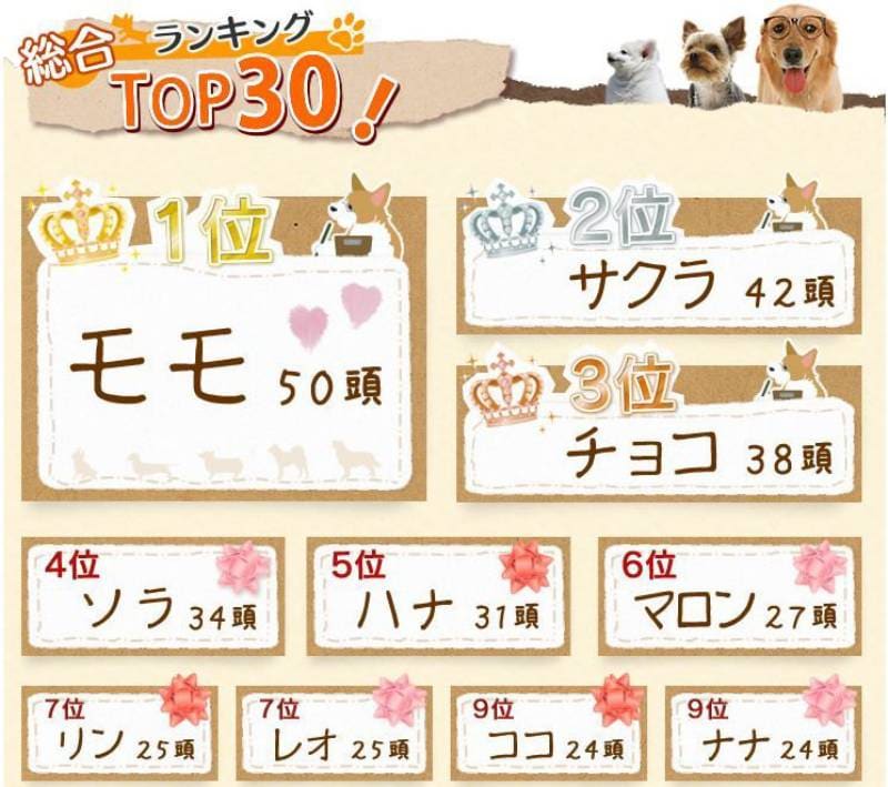 犬の名前ランキング大調査２０１１ 結果発表 アイリスプラザ メディア