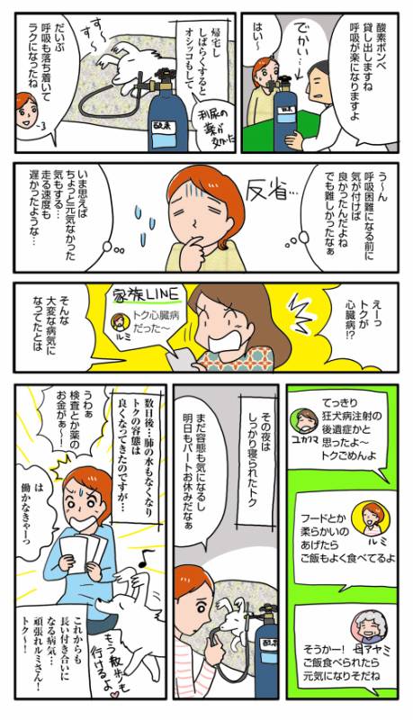 心臓病のトク アイリスプラザ メディア