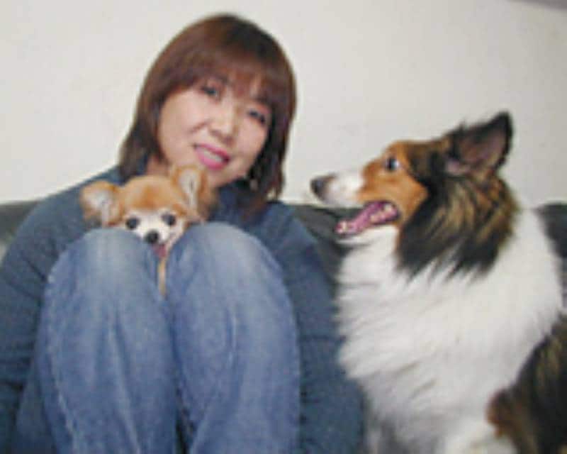 第5回 犬の仮装 かぶりもの作家として一世を風靡 アイリスプラザ メディア 第5回 犬の仮装 かぶりもの作家として一世を風靡 アイリスプラザ メディア