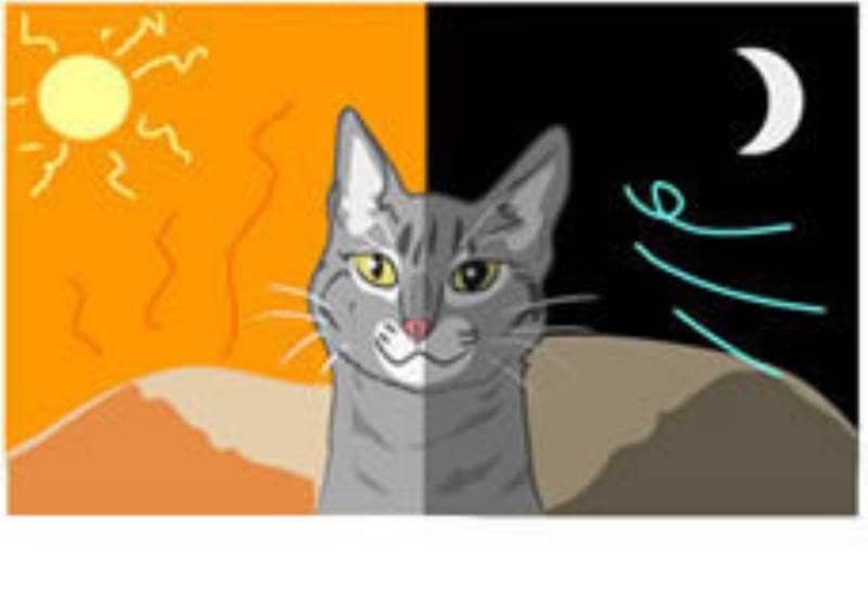 犬 も 猫 も 嫌い
