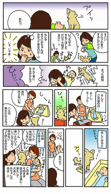 赤ちゃんとガウリン アイリスプラザ メディア