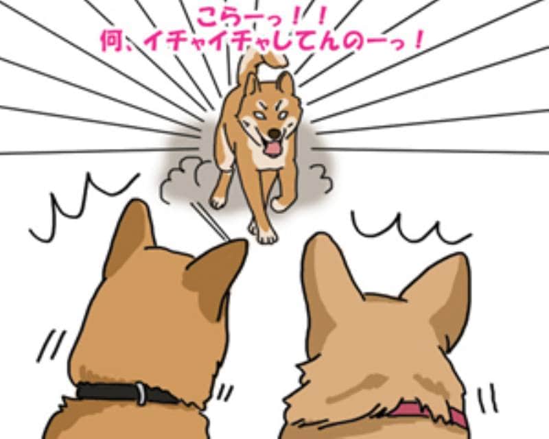 第58回 お散歩中に女同士のバチバチ火花 アイリスプラザ メディア 第58回 お散歩中に女同士のバチバチ火花 アイリスプラザ メディア