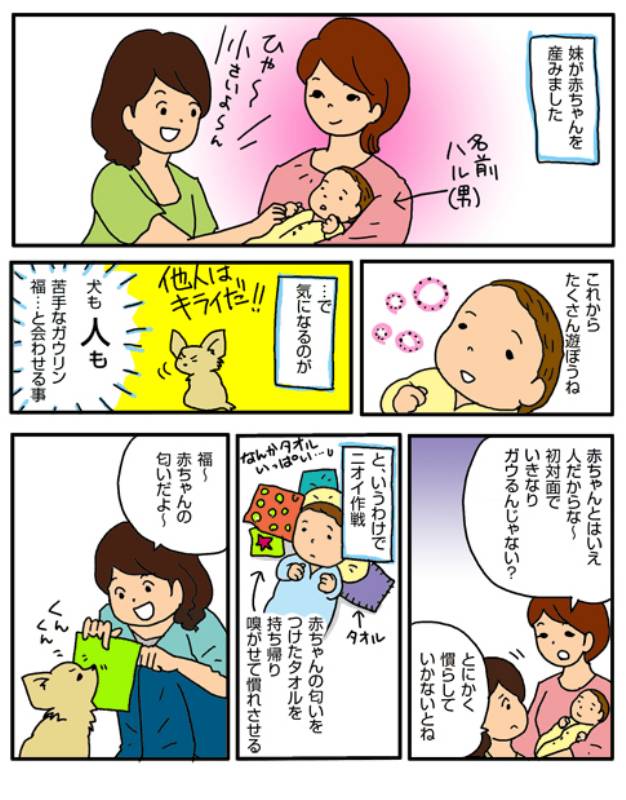 赤ちゃんとガウリン アイリスプラザ メディア