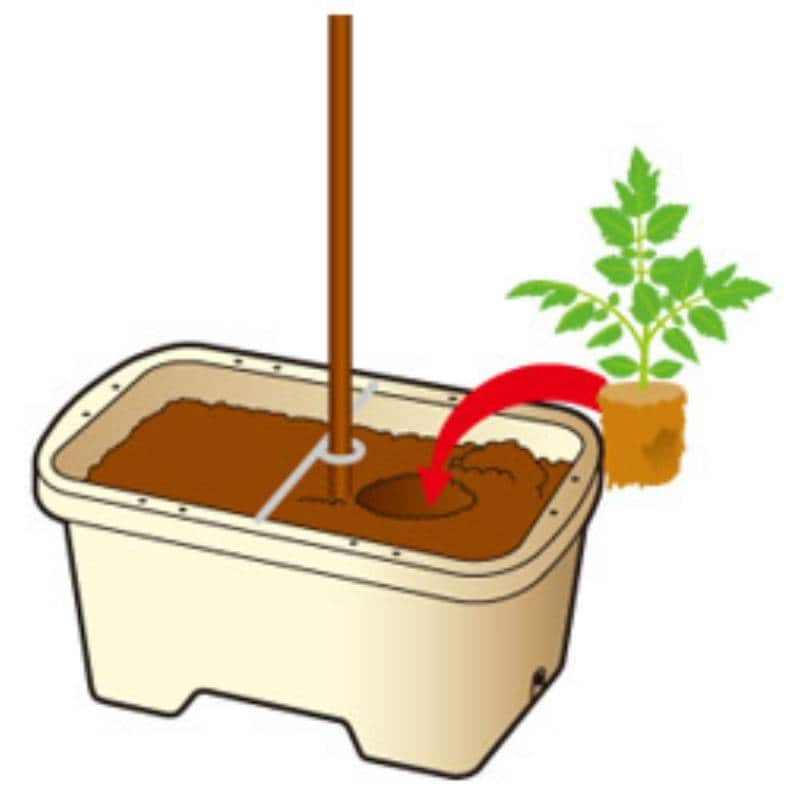 3月 Step03 定植 植えつけ トマト ナス キュウリ アイリスプラザ メディア 3月 Step03 定植 植えつけ トマト ナス キュウリ アイリスプラザ メディア