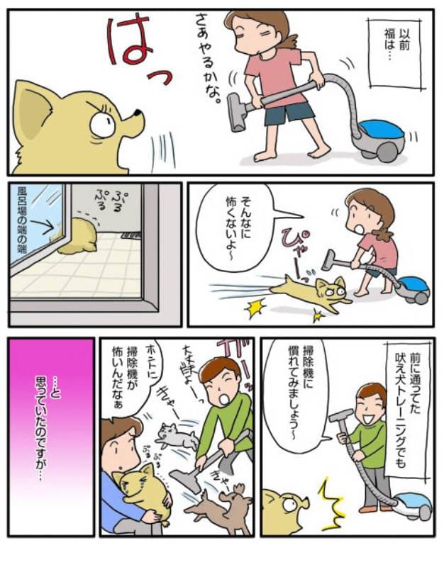 掃除機と福 アイリスプラザ メディア