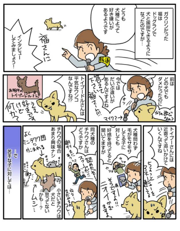 どうしても嫌い アイリスプラザ メディア