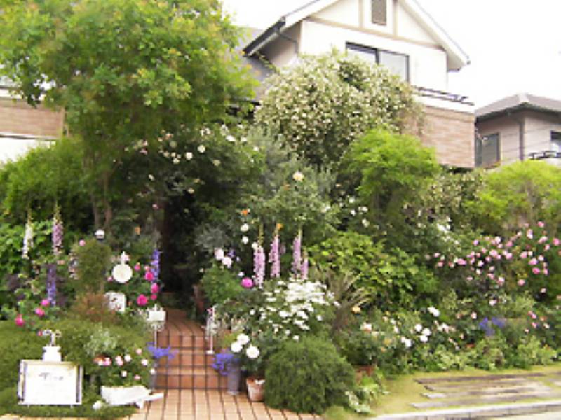 バラや花木に囲まれた四季を楽しめる庭造り 61 Yokkoさん アイリスプラザ メディア