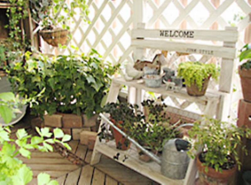 小鳥たちも遊びにくるナチュラルベランダガーデン 23 Mikaさん アイリスプラザ メディア 小鳥たちも遊びにくるナチュラルベランダガーデン 23 Mikaさん アイリスプラザ メディア