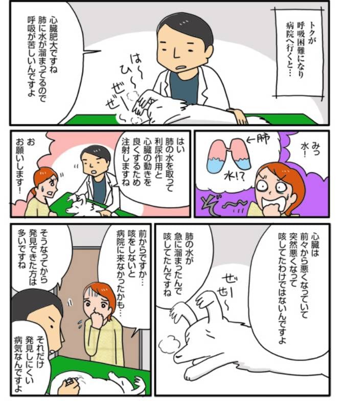 心臓病のトク アイリスプラザ メディア