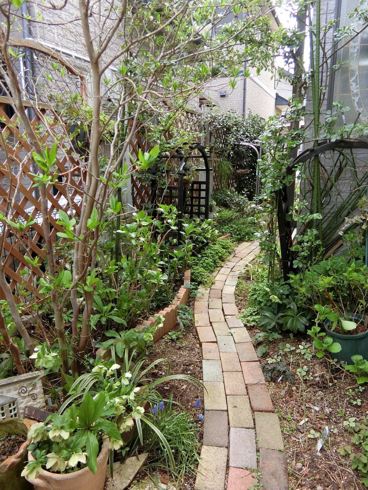 モルタルハウス モルタルデコ モルタル造形 ガーデン雑貨 インテリア