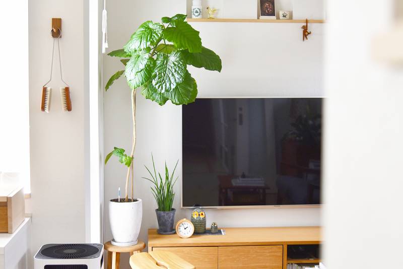 手軽におしゃれを楽しむ テレビ周りのインテリア めがねとかもめと北欧暮らしの収納術 アイリスプラザ メディア 手軽におしゃれを楽しむ テレビ周りのインテリア めがねとかもめと北欧暮らしの収納術 アイリスプラザ メディア
