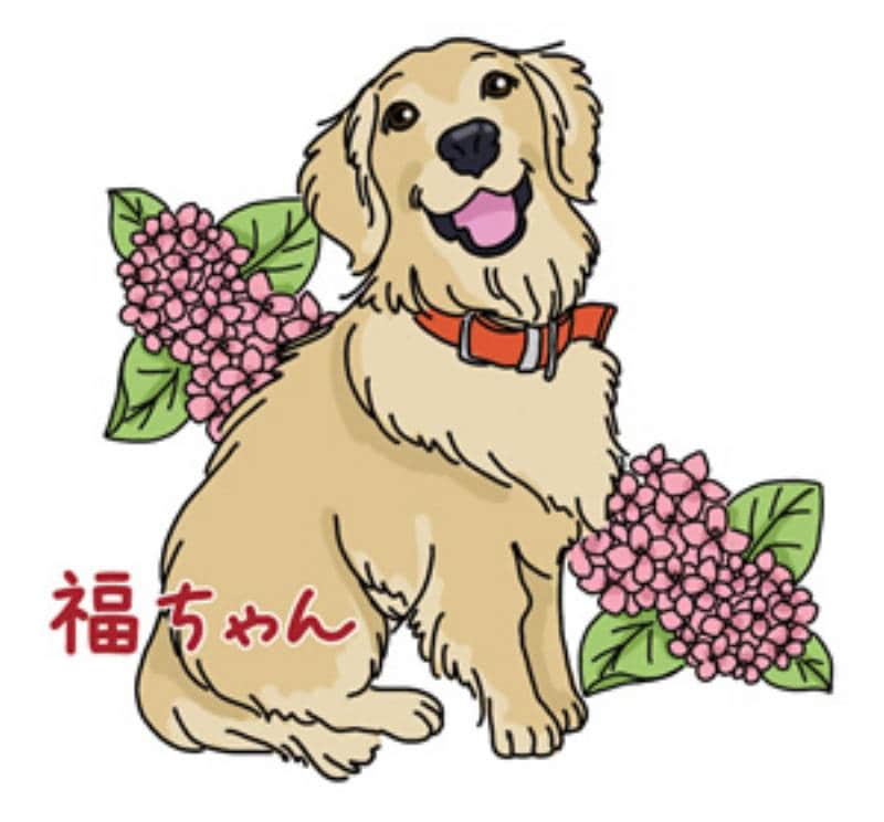 第23回 女優顔負け トリマーさんに一体何が アイリスプラザ メディア 第23回 女優顔負け トリマーさんに一体何が アイリスプラザ メディア