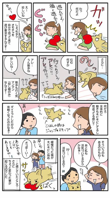 まるで犬のよう アイリスプラザ メディア