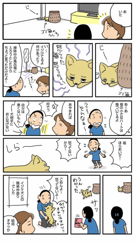 イジイジ イジケ犬 アイリスプラザ メディア イジイジ イジケ犬 アイリスプラザ メディア