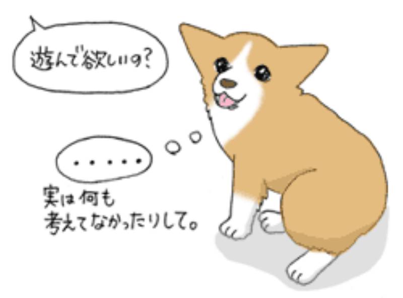 犬の行動学その2 しつけについて アイリスプラザ メディア