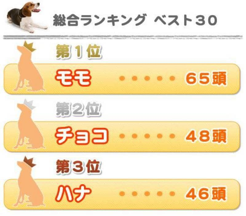 犬の名前ランキング大調査07 結果発表 アイリスプラザ メディア