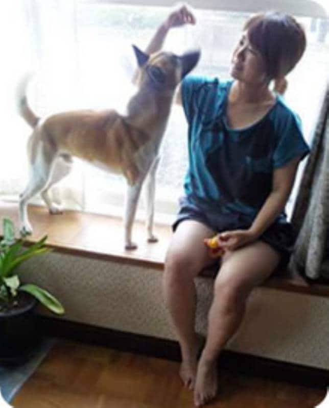 おうちでシャンプー ブロー お掃除 アイリスプラザ メディア おうちでシャンプー ブロー お掃除 アイリスプラザ メディア