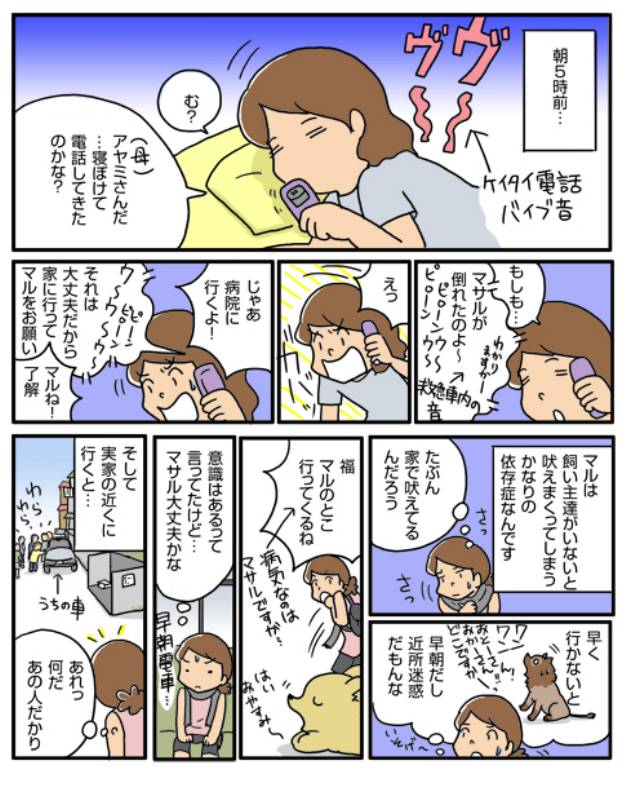 マサル 倒れる アイリスプラザ メディア