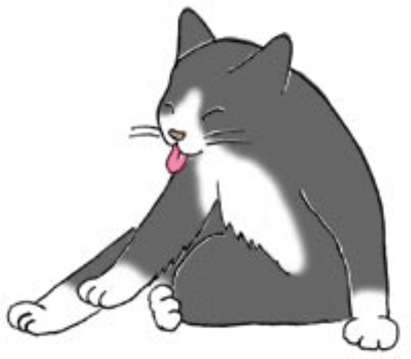 猫の毛玉対策 アイリスプラザ メディア 猫の毛玉対策 アイリスプラザ メディア