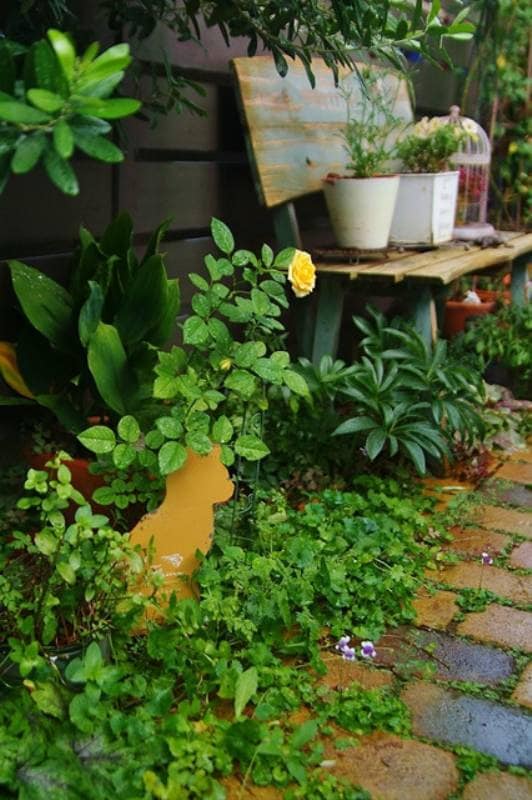 大好きな花に囲まれた場所に スペースを生かした庭作り 139 Haiziさん アイリスプラザ メディア