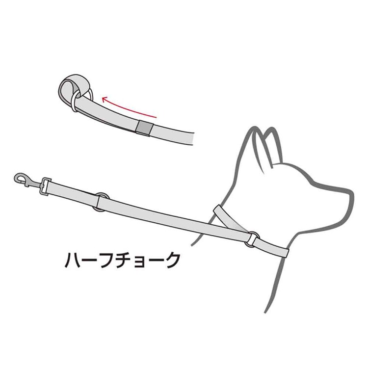 EZYDOG リード ヴァリオ4ライト 【プラザセレクト】
