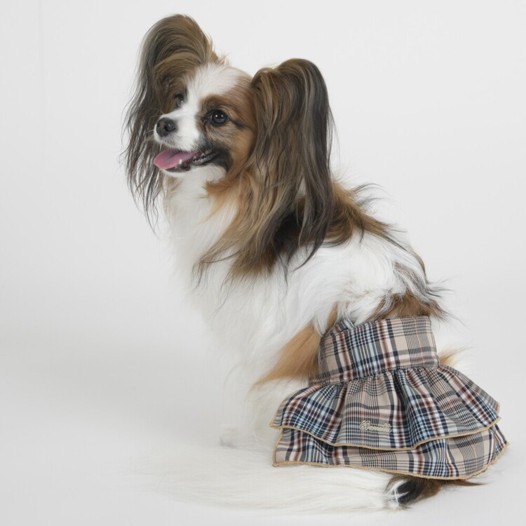 LGW103 クラシカルチェックマナースカート 【プラザセレクト】