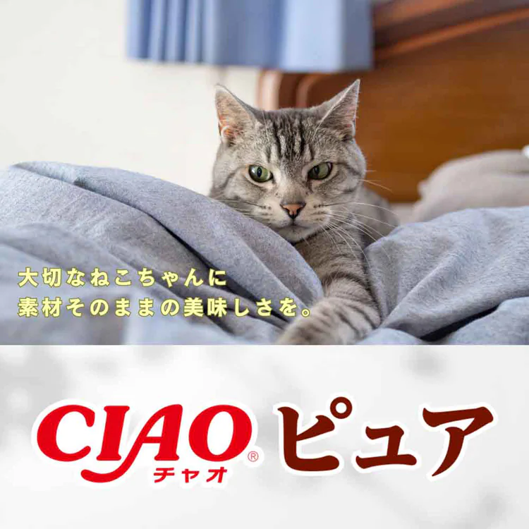 いなばペットフード CIAO ピュアちゅ~る 14g×40本入り SC-544 SC-545 【プラザセレクト】