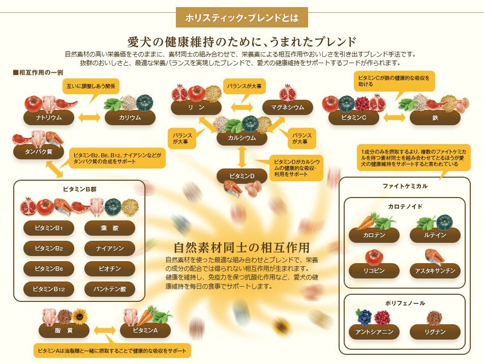 シュプレモ 小型犬用 成犬用