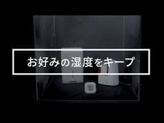 QnoGgmnkV4I
