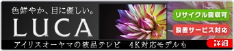 アイリスプラザ（テレビ一覧