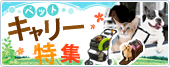 ybgL[W