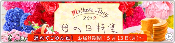 2019母の日