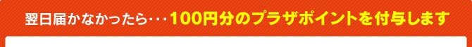 翌日届かなかったら100円分のプラザポイントを付与します