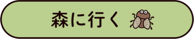 Xɍs