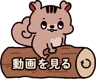 動画を見る