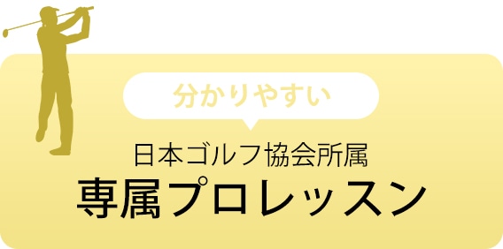 専属プロレッスン
